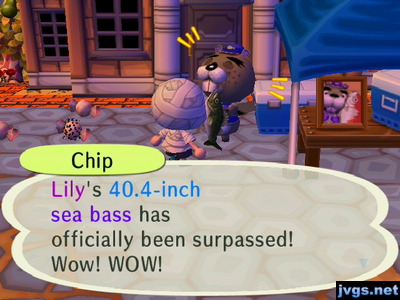 Chip: Lily's 40.4-inch sea bass has officially been surpassed! Wow! WOW!