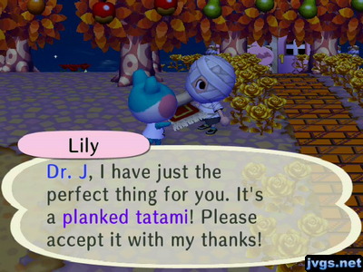 Lily: Dr. J, I have just the perfect thing for you. It's a planked tatami! Please accept it with my thanks!