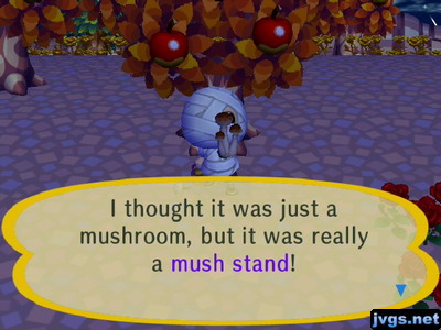 I thought it was just a mushroom, but it was really a mush stand!