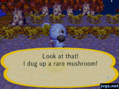 Look at that! I dug up a rare mushroom!