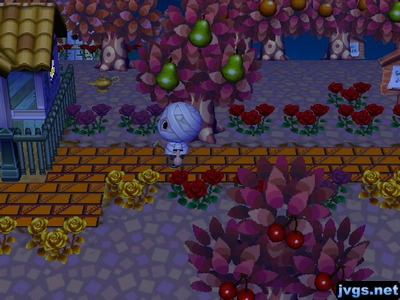 An empty lamp on the ground near a house.