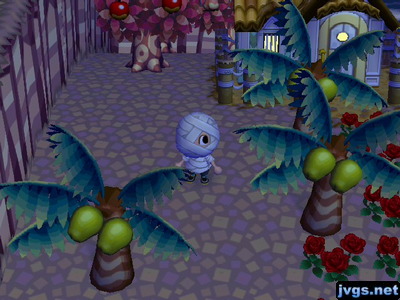 A house in the southwest part of town, near palm trees and the beach.