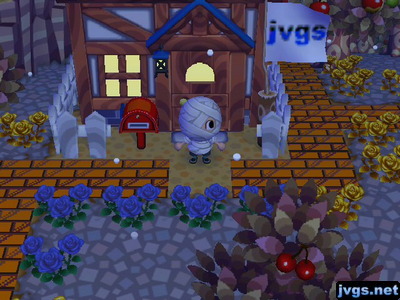 Snow falls in Forest as I enjoy it from outside my house.