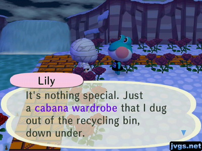 Lily: It's nothing special. Just a cabana wardrobe that I dug out of the recycling bin, down under.