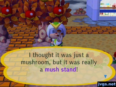 I thought it was just a mushroom, but it was really a mush stand!