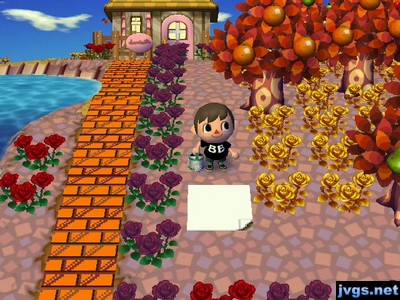 The memo pattern from Wendell, as shown on the ground.