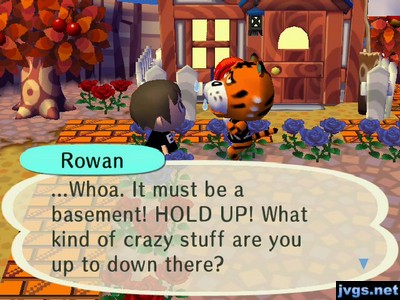 Rowan: ...Whoa. It must be a basement! HOLD UP! What kind of crazy stuff are you up to down there?