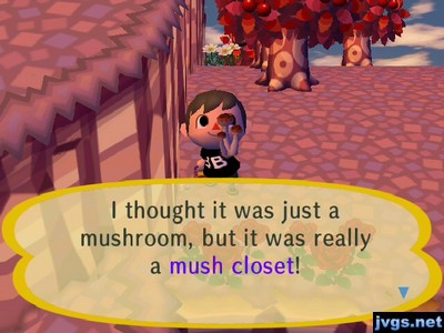 I thought it was just a mushroom, but it was really a mush closet!