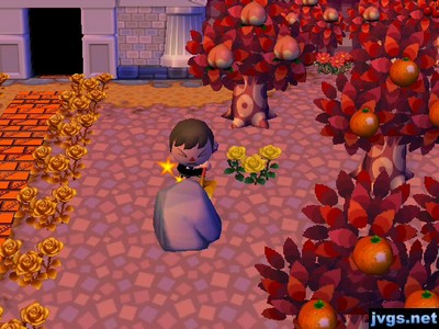 Me hitting a rock with my shovel.