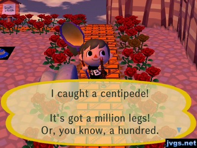 I caught a centipede! It's got a million legs! Or, you know, a hundred.