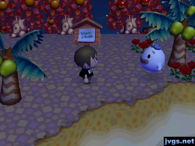 I encounter Wisp the ghost in Animal Crossing: City Folk.