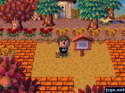 My re-routed path around the spot where Iggly's house was.