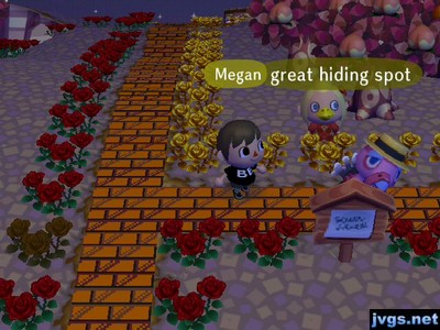 Franklin the turkey tries to hide behind a sign post.