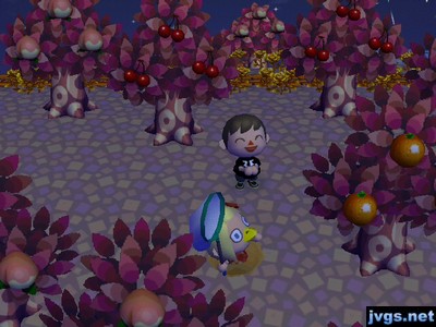 Jeff laughs as Megan struggles to get out of a pitfall.