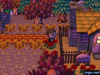 A new house appears, on my path.