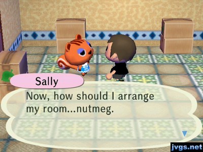 Sally: Now, how should I arrange my room...nutmeg.