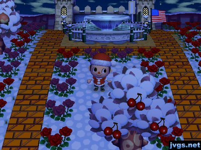 Snow on the ground (and trees) in Forest.