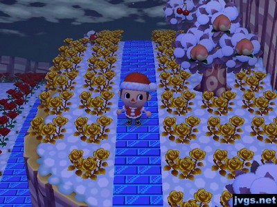 Lots of gold roses stockpiled on my dead end.