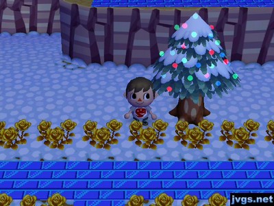 Christmas lights still on trees in town.