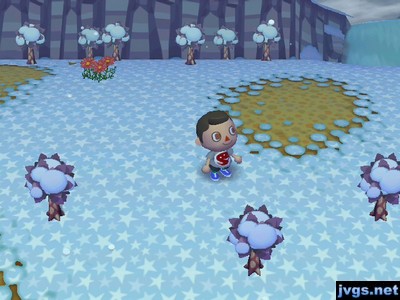 A bunch of new baby trees in the town of Bananas.