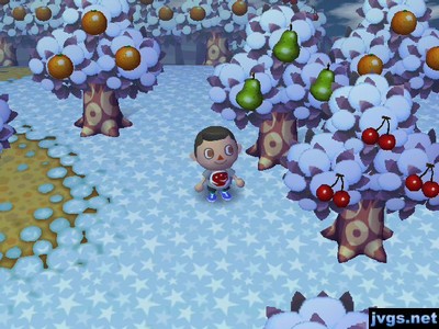 The first harvest of the fruit trees in Bananas.