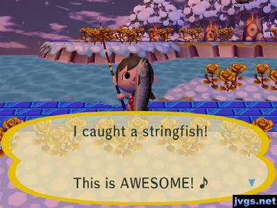 I caught a stringfish! This is AWESOME!