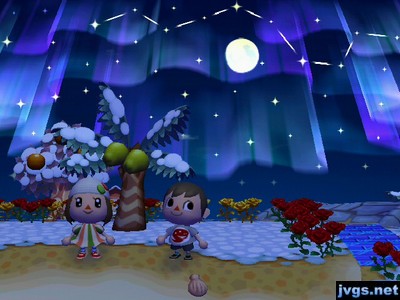 Yann and Jeff admire the northern lights from the beach.