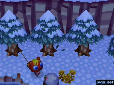 Yann speaks to Caroline as Jeff shakes trees.