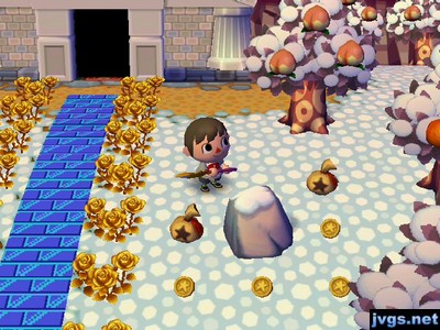 Money (coins and bell bags) that came out of today's money rock.