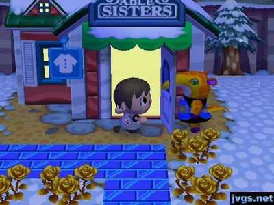 Anabelle's snout passing through the open door of Able Sisters.