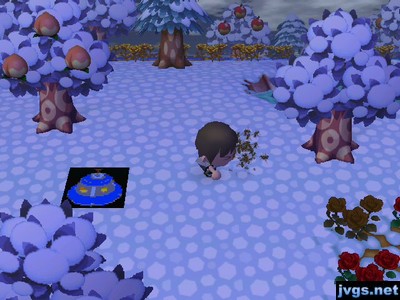 Me getting attacked by bees in Animal Crossing: City Folk.