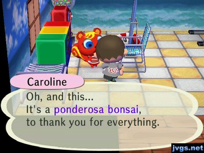 Caroline: Oh, and this... It's a ponderosa bonsai, to thank you for everything.