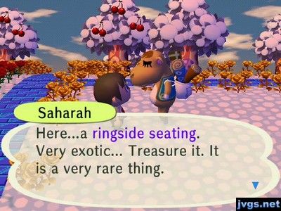 Saharah: Here...a ringside seating. Very exotic... Treasure it. It is a very rare thing.