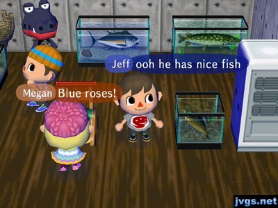 Some large fish, including tuna, in Del's house.