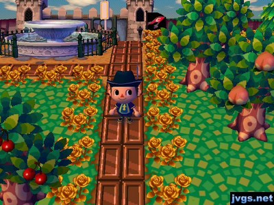 Green grass in town, as shown near my fountain.