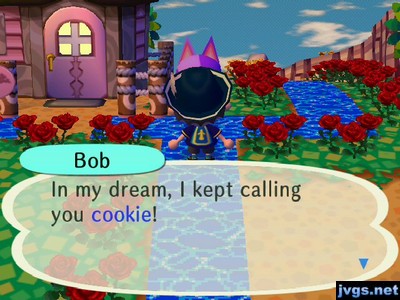 Bob: In my dream, I kept calling you cookie!