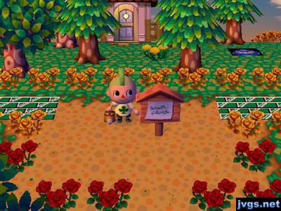 The empty dirt patch where Peggy's house recently stood.