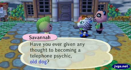 Savannah: Have you ever given any thought to becoming a telephone psychic, old dog?