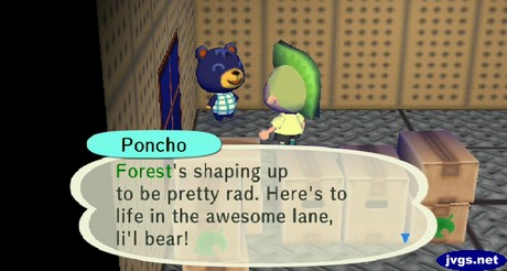 Poncho: Forest's shaping up to be pretty rad. Here's to life in the awesome lane, li'l bear!