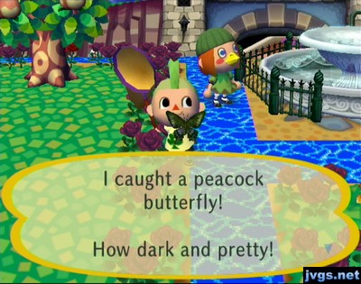 I caught a peacock butterfly! How dark and pretty!