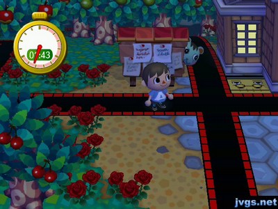 Mint peeks out from behind the bulletin board during a game of hide-and-seek.