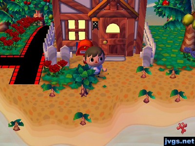 One living tree and seven dying saplings outside of Scott's house.