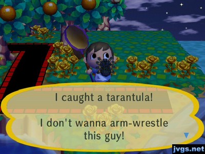 I caught a tarantula! I don't wanna arm-wrestle this guy!