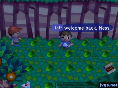 Jeff: Welcome back, Ness.
