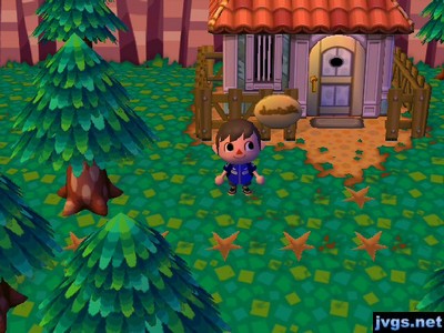 A line of pitfalls outside of Jambette's house.