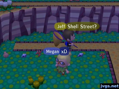 Jeff: Shell Street?