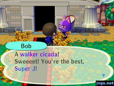 Bob: A walker cicada! Sweeeet! You're the best, Super J!