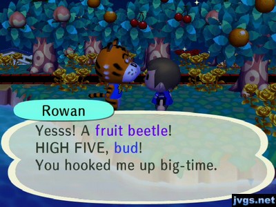 Rowan: Yesss! A fruit beetle! HIGH FIVE, bud! You hooked me up big-time.