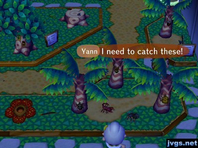 Yann: I need to catch these!