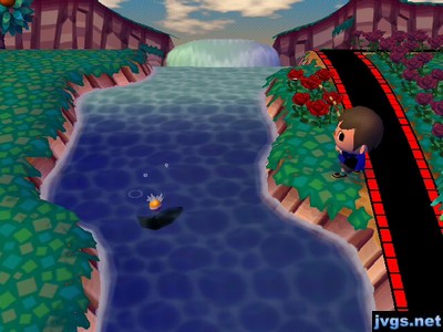 Catching a big fish.